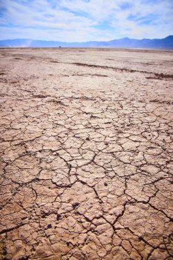 Boulder City Kuru Göl Yatağı 'nda geniş bir çöl alanı. Parlak gökyüzü altındaki uzak dağlarla kurak arazi Nevada 'daki kuraklık ve çevresel zorlukları vurguluyor.