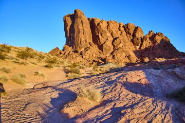 Nevada Ateş Vadisi 'nde altın saat engebeli kumtaşı oluşumları sıcak ışıkta güneşlenerek dramatik gölgeler oluşturur. Berrak bir mavi gökyüzünün altında dalgalı kumlar ve seyrek bitki örtüsüyle sakin bir çöl sahnesi..