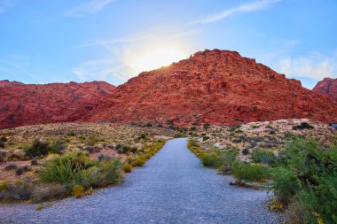 Kızıl Kaya Kanyonu 'nun canlı kırmızı kaya oluşumlarını gün doğumunda keşfedin. Bu sakin çöl manzarasına uzanan çakıl yolu Mountain Springs Nevada 'da macera ve doğa severler için mükemmeldir..