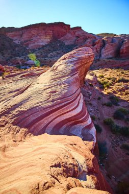 Nevada, Ateş Vadisi 'nin canlı renklerini ve dalga benzeri kaya oluşumlarını keşfedin. Bu ikonik Amerikan Güneybatı Çölü 'ndeki gerçeküstü jeolojik güzelliği ve macerayı tecrübe edin..