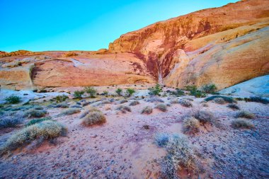 Nevada Moapa Vadisi 'ndeki Ateş Vadisi' nin canlı renklerini keşfedin. Engebeli kaya oluşumları ve seyrek çöl bitkileri berrak mavi gökyüzünün altında çarpıcı bir kuraklık yaratır. Macera için mükemmel.