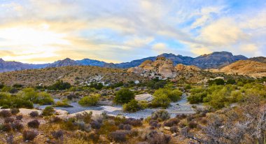 Altın saat, Nevada 'daki Mountain Springs' te uzanan çöl bitki örtüsü ve görkemli dağlarla birlikte, Kızıl Kaya Kanyonu 'nun engebeli kayalık oluşumlarını yumuşak bir ışıkla resmediyor..