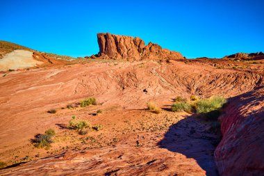 Nevada, Moapa Vadisi 'ndeki Ateş Vadisi' nde engebeli kırmızı kumtaşı oluşumları canlı mavi gökyüzüne karşı yükseliyor. Altın saat parıltısı bu kurak manzaranın güzelliğini vurgular, macerayı davet eder..