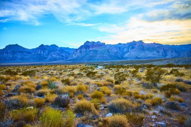 Nevada 'daki Mountain Springs' in sakin güzelliğini tecrübe edin, engebeli çöl arazisinin görkemli Red Rock Kanyonu ile buluştuğu yer. Altın saatin tadını çıkar ve el değmemiş doğayı keşfet..