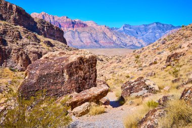 Las Vegas 'taki Kovboy Kanyonu' nun engebeli güzelliğini keşfedin. Çarpıcı kaya oluşumları ve canlı mavi gökyüzünün altında seyrek çöl bitkileri arasından esen bir patika. Bir doğa severler cenneti..