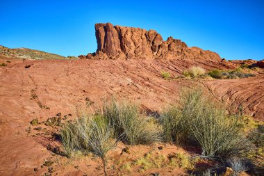 Nevada Moapa Vadisi 'nde canlı mavi gökyüzünün altında görkemli kırmızı kaya oluşum kulesi. Bu çarpıcı çöl sahnesi Ateş Vadisi 'nin sonsuz güzelliğini ve engebeli ihtişamını yakalar..