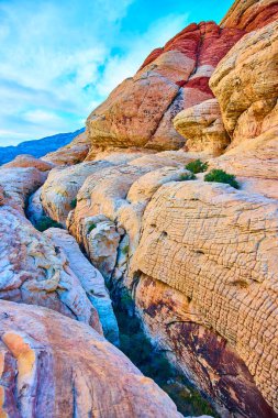 Nevada 'daki Kızıl Kaya Kanyonu' nun canlı tonlarını keşfedin. Katmanlı kaya oluşumları ve açık mavi gökyüzü maceracılar ve doğa severler için mükemmel ilham verici bir sahne oluşturur..