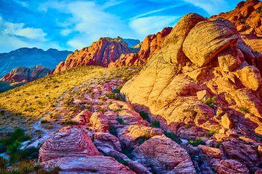 Las Vegas Nevada yakınlarındaki Red Rock Kanyonu 'nun nefes kesici güzelliğinin tadını çıkarın. Gün doğumunun ya da günbatımının altın rengi tarafından aydınlatılan kırmızı kumtaşı oluşumlarına hayret. Seyahat ve doğa için mükemmel.