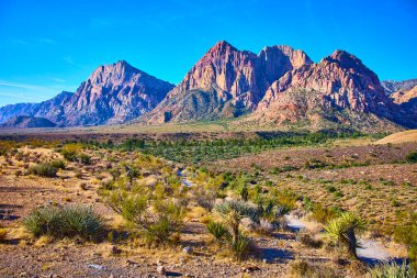 Nevada 'daki Red Rock Kanyonu' nun nefes kesici güzelliğini tecrübe edin. Yüksek kızıl kaya oluşumları ve seyrek çöl bitkileri macera ve keşif için mükemmel sakin bir manzara yaratır..