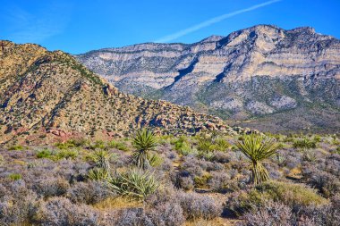 Berrak mavi gökyüzü altında engebeli dağlar ve seyrek yukka bitkileriyle Nevada Dağı 'nın engin çöl manzarası Kızıl Kaya Kanyonları' nın kurak arazisinin dingin güzelliğini yakalar..