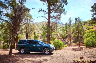 Nevada 'daki Charleston Dağı' nda koyu yeşil bir SUV ile açık havayı keşfedin. Etrafı çam ağaçlarıyla çevrili, huzurlu bir doğa kaçışına yelken aç ve maceranın heyecanını keşfet..