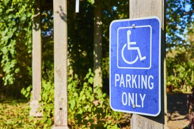 Dağ 'da ulaşılabilir park yeri. Airy Forest, Ohio: Bereketli yeşillik ve yumuşak güneş ışığıyla çevrili yıpranmış bir tabelayla, kapsayıcılığı sağlayan sakin bir yer. Erişilebilirliği artırmak için mükemmel.