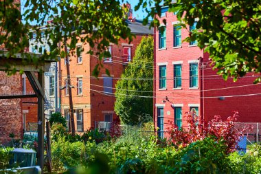 Cincinnati 'de canlı bir şehir sahnesi Ren Bölgesi' nde renkli tarihi tuğla binalar ve yemyeşil halk bahçeleri sergileniyor. Kentsel yenilenme ve yeşil yaşam temaları için mükemmel.