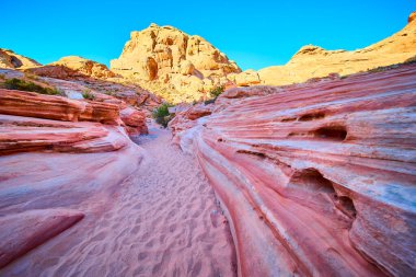 Nevada Moapa Vadisi 'nin büyüleyici güzelliğini keşfedin. Açık mavi gökyüzünün altında Ateş Vadisi 'ndeki canlı kumtaşı oluşumlarında dolaşın. Macera ve sükunet arayanlar için mükemmel..
