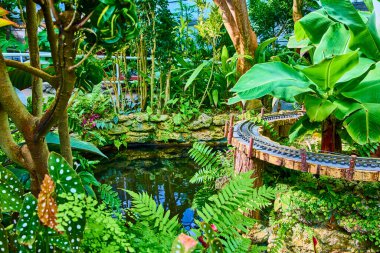 Cincinnati konservatuarında canlı yeşillik, dolambaçlı tren yolu ve dingin göleti olan yemyeşil bir cennet. Doğal aşıklar ve dinginlik arayan tren mankenleri için mükemmel..