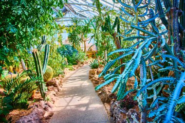 Cincinnati Botanik Konservatuarı 'nın dinginliğini tecrübe edin. Güneş ışığının çeşitli kaktüsler ve suluların üzerinde dans ettiği yer. Bu sera vahasındaki yemyeşil yolları keşfet. Doğa ve bahçe için mükemmel.