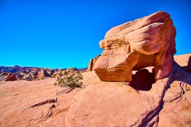 Breathtaking desert landscape in Nevada Valley of Fire. Majestic rock formations with arches and curves stand against a vibrant blue sky. A lone shrub symbolizes resilience in this arid beauty. clipart