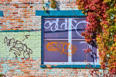 Şehir sanatı doğayla Cincinnati 'nin Ren Bölgesi' nde buluşur. Canlı grafiti ve çağlayan sarmaşıklarla dolu tuğla bir duvar sokak kültürünün özünü ve kentsel çürümenin güzelliğini yakalıyor..