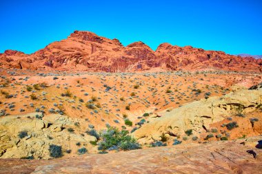 Nevada 'daki Ateş Vadisi Parkı' nın nefes kesici güzelliğini keşfedin. Pas rengi kumtaşı oluşumlarına ve berrak mavi gökyüzünün altındaki engin çöl manzaralarına, doğaya mükemmel bir kaçış.