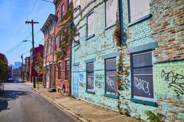 Cincinnati 'nin Ren Bölgesi üzerindeki çekiciliğini keşfedin: canlı bir sokak manzarası mavi grafiti kaplı tuğla binalar, bereketli sarmaşık ve kentsel sanat ve mimarinin özü.