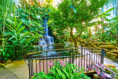 Cincinnati 'nin kapalı alanda yemyeşil bahçesinde sükuneti tecrübe edin. Bu sakin konservatuar kaçışında canlı tropikal bitkilerle çevrili kayaların üzerinde yumuşak bir şelale çağlıyor. Seyahat için mükemmel.