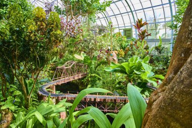 Cincinnati tropikal konservatuarında dinginliğe adım atın. Parlak yeşillik, güneş ışığı altındaki cam tavan altında tuhaf bir minyatür demiryolu ile buluşur. Keşifleri ve barışçıl yansımaları davet eder..