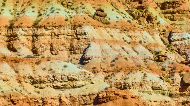 Utah Kasırgası 'ndaki Gooseberry Mesa' nın hava manzarasında parlak gün ışığında dramatik katmanlı kaya kayalıkları sergileniyor. Nadir bitki örtüsü, bu jeolojik başyapıtın kurak güzelliğine zıtlık katar..