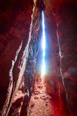 Utah 'taki Kar Kanyonu Parkı' nın nefes kesici güzelliğini keşfedin. Yüksek kızıl kaya duvarları ve çarpıcı ışık sizi bu çarpıcı çöl manzarasını keşfetmeye davet ediyor. Macera ve seyahat için mükemmel.