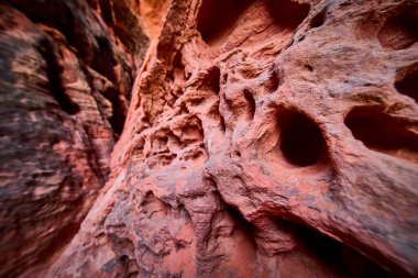 Utah Kar Kanyonu Eyalet Parkı 'nın karmaşık dokularını araştırın. Engebeli kızıl kaya oluşumları ve doğal yarıklar sanatsal özellikler, seyahat ve jeoloji meraklıları için ideal..