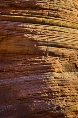 Utah 'taki Zion Ulusal Parkı' nda güneş taşı katmanları. Dünyaları, zengin dokuları ve sıcak renkleri olan ebedi güzellikleri yakalayın. Her projeye sanatsal bir dokunuş katmak için mükemmeldir..