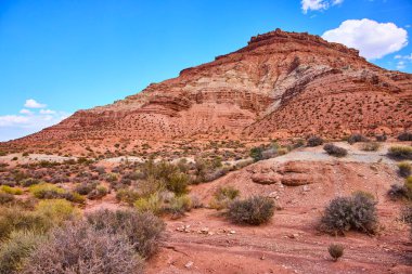 Utah Kasırgası 'nda Gooseberry Mesa' nın görkemli kızıl kaya oluşumlarını keşfedin. Serüven arayanlar için mükemmel mavi gökyüzü altında canlı toprak tonlarını ve sakin çöl manzarasını deneyimleyin..