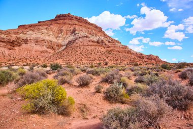 Utah Kasırgası 'ndaki Gooseberry Mesa' da görkemli kırmızı kaya oluşumları. Çarpıcı bir çöl manzarası canlı mavi gökyüzü ve engebeli arazi doğadaki macera ve keşifleri davet ediyor..