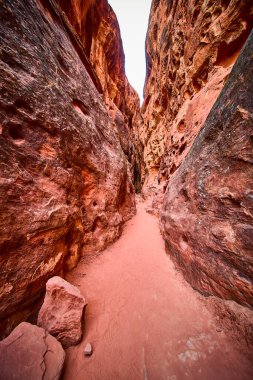 Utah 'taki Kar Kanyonu Eyalet Parkı' nın çarpıcı kızıl kaya oluşumlarını araştırın. Bu dar kanyon yolu engebeli manzarasında ve dramatik kumtaşı kayalıklarında maceraya davetiye çıkarıyor. Doğa için mükemmel.