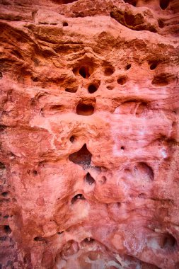 Utah Kar Kanyonu Eyalet Parkı 'nın çarpıcı dokularını araştırın. Canlı kırmızı kaya yüzeyi erozyon ve jeolojik tarihin hikayesini anlatır, her yarıktaki sanatsal yapıyı yakalar..