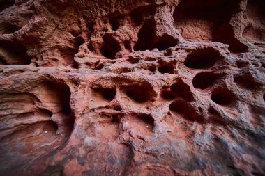 Explore the captivating texture of Utah Snow Canyon State Park with this close-up of weathered red rock. The intricate patterns and natural erosion are a testament to natures enduring artistry. clipart