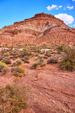 Gooseberry Mesa, Utah 'ın canlı çöl sahnesi, parlak mavi gökyüzü altında çarpıcı kırmızı kumtaşı oluşumlarını gösteriyor. Nadir yeşillik bu engebeli ve zamansız araziye hayat katıyor. Tam oldu.