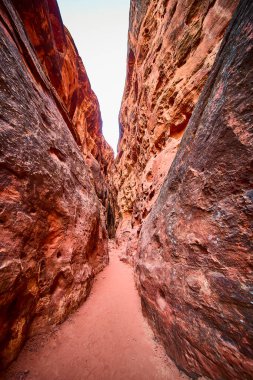Utah 'taki Kar Kanyonu Eyalet Parkı' nın çarpıcı kızıl kaya oluşumlarını araştırın. Bu nefes kesici kanyonun dar, dolambaçlı yollarında dolaş ve macera ruhunu kucakla..