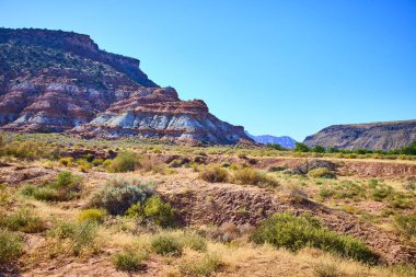Grafton, Utah 'ın sonsuz güzelliğini görkemli kaya oluşumları ve canlı çöl manzarasıyla keşfedin. Amerika 'nın güneybatısındaki engebeli arazinin yalnızlığını ve macerasını keşfedin..