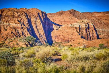 Utah 'taki Kar Kanyonu Parkı' nda güneşli kırmızı kaya oluşumları Amerika 'nın güneybatısının engebeli güzelliğini gözler önüne seriyor. Sert çöl bitkileri bu nefes kesici çöl manzarasını tamamlıyor..