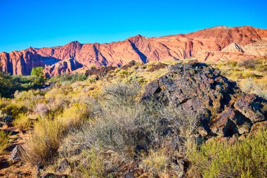 Rugged rock formations and vibrant desert plants in Snow Canyon State Park, Utah, create a stunning contrast against majestic red cliffs and a brilliant blue sky, capturing the essence of wilderness. clipart