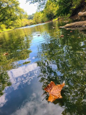 Hocking Hills Ohio 'da yemyeşil ağaçlar ve açık mavi gökyüzü ile çevrili sakin bir nehirde tek bir kahverengi yaprak yüzüyor. Bu dingin sahne, yazdan sonbahara nazik bir geçişi simgeliyor..