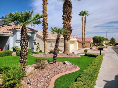 Serene Las Vegas banliyösü, berrak mavi gökyüzünün altında çimenlikleri ve palmiye ağaçları, sürdürülebilir çöl yaşamı ve toplum gururunu gözler önüne seren gayrimenkul ve peyzaj temaları için idealdir..