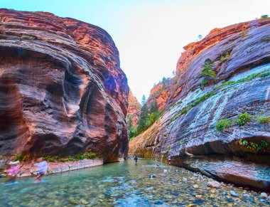 Discover the awe of Zion National Park in Utah. Marvel at the Narrows with towering sandstone cliffs, vibrant greens, and a tranquil river inviting adventurers to explore this stunning natural wonder. clipart