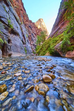 Zion Ulusal Parkı 'ndaki The Narrows' un nefes kesici güzelliğini keşfedin. Yürüyüşçüler Virgin Nehri 'nde yürürken, kumtaşı tepeleri ve canlı doğal renklerle çevrelenmiş macerayı yakalayın..