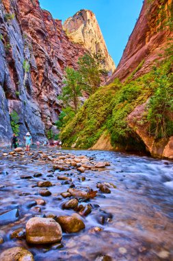 Utah 'taki Zion Ulusal Parkı' nın dehşetini keşfedin. Yürüyüşçüler, yükselen kanyon duvarları ve yemyeşil çimenliklerle çerçevelenmiş sakin bir nehri geçerek macera ve doğanın özünü yakalıyorlar..
