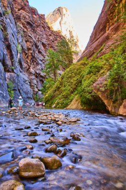 Utah, Zion Ulusal Parkı 'ndaki Narrows' un huzurlu güzelliğini keşfedin. Nehirden geçen yürüyüşçüler, görkemli kanyon duvarları ve yemyeşil ile çerçevelenmiş, macera ve doğanın özünü yakalıyorlar..