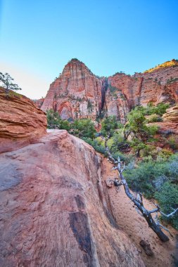 Utah 'taki Zion Ulusal Parkı' nın hayranlık uyandıran kızıl kaya kayalıklarını keşfedin. Engebeli patikalarda yürüyüş yapmak ve Pine Creek Kanyonu 'ndaki doğal güzelliklere hayret etmek. Bu çarpıcı manzarada macera bekliyor..