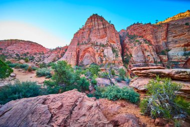 Zion Ulusal Parkı 'ndaki Pine Creek Kanyonu' nun dingin güzelliğini keşfedin. Engebeli kızıl kaya kayalıkları ve yemyeşil alanlar macera ve açık hava meraklıları için mükemmel bir manzara yaratır..