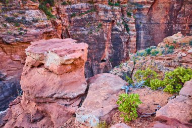 Majestic view of Pine Creek Canyon in Zion National Park. Rugged rock formations in vibrant reds and browns create a dramatic landscape, inviting adventure and exploration in Utahs natural wonder. clipart