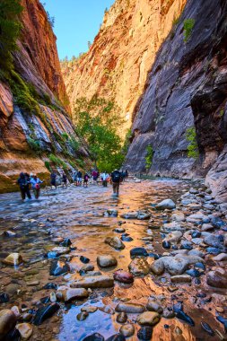 Yürüyüşçüler Zion Ulusal Parkı 'nda, Utah' ta altın güneş ışığıyla yıkanmış görkemli kumtaşı kayalıklarıyla çevrili bir şekilde yürürler. Bu nefes kesici doğal ortamda macera ve sükunet.